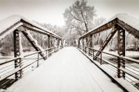 Dormant Bike Path.jpg