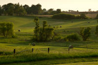 Evening Bales 3.jpg